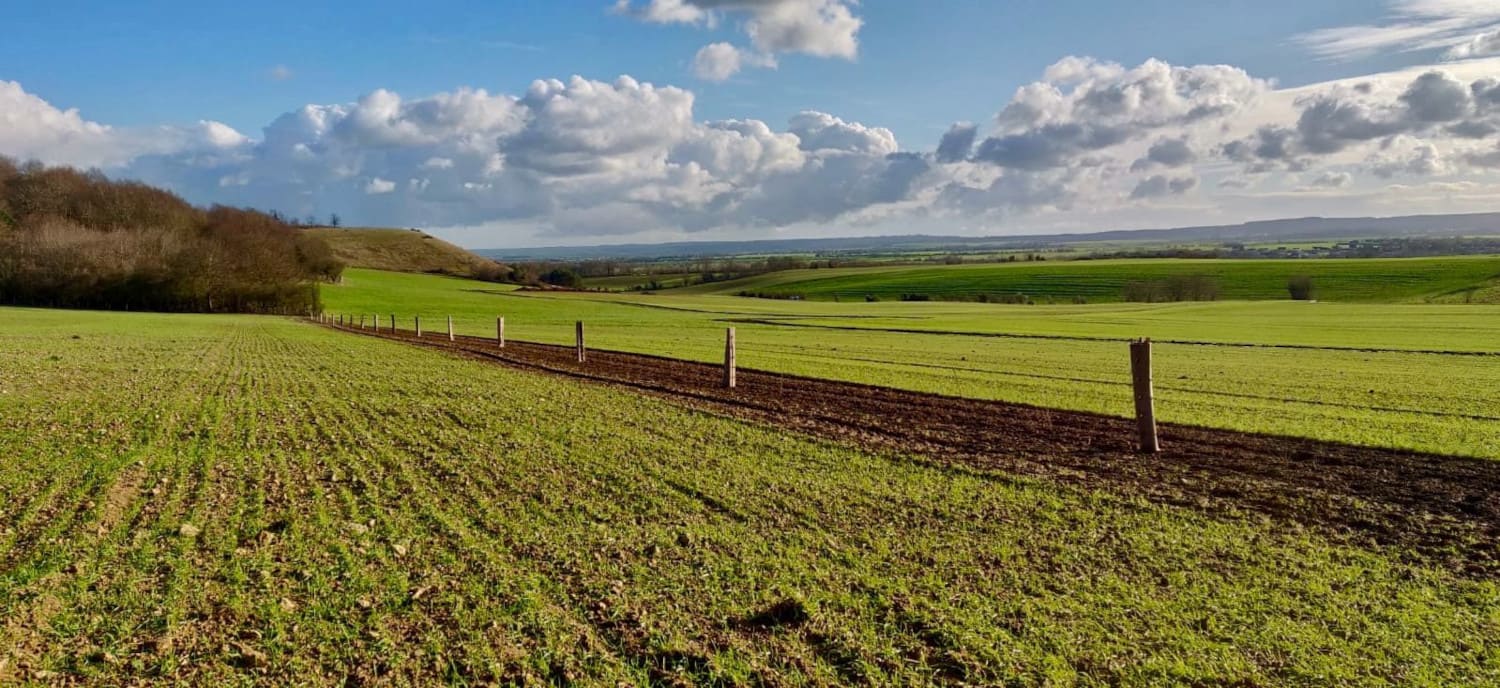 Plantation de haies dans le Calvados