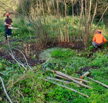 Paysagiste et entretien de jardins à Caen