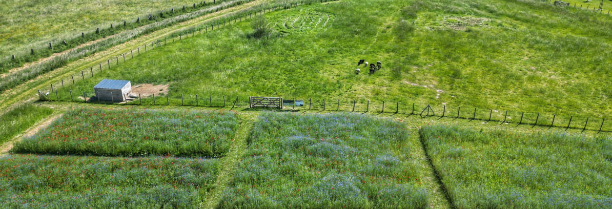 Protection de la biodiversité en Normandie