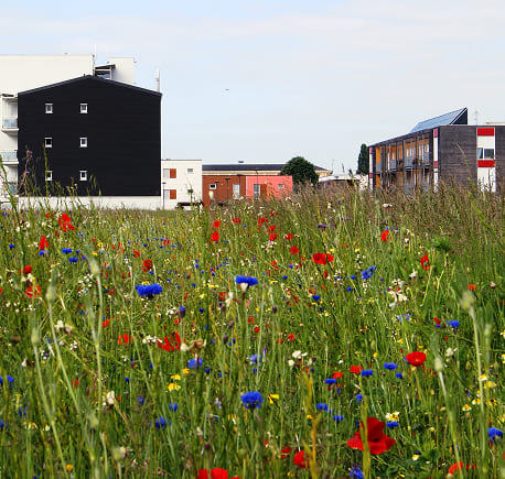 Gestion d'espaces verts à Caen