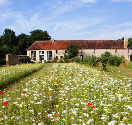 Création de jardins en Normandie