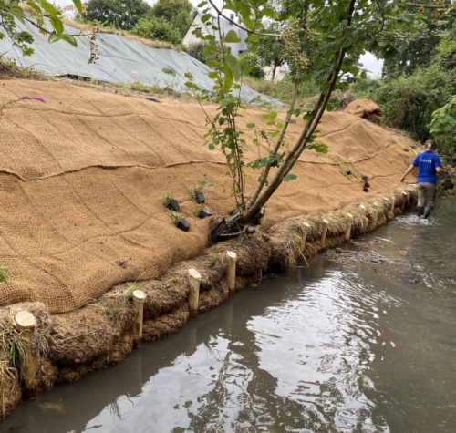 Aménager les berges naturellement : une solution durable pour valoriser vos espaces aquatiques