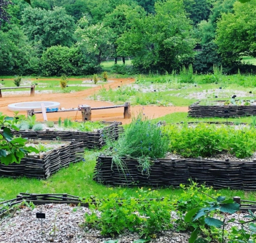 Recréer des espaces plus naturels dans les entreprises, une démarche avec de nombreux avantages! 