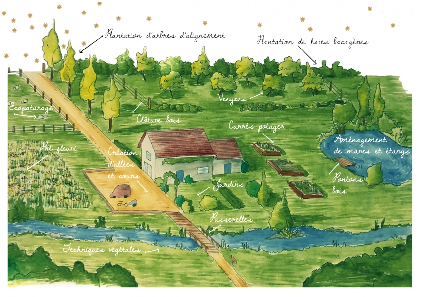 Le jardin Solveg, naturel et résilient.