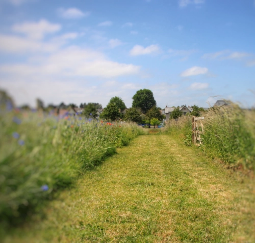 L'entretien des espaces verts, pour une nouvelle gestion.