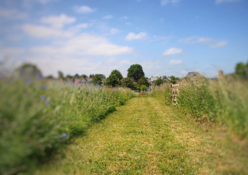 L'entretien des espaces verts, pour une nouvelle gestion.
