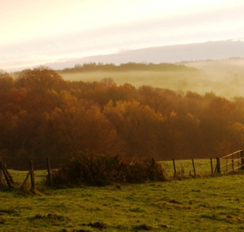Solveg œuvre pour la réhabilitation du bocage normand
