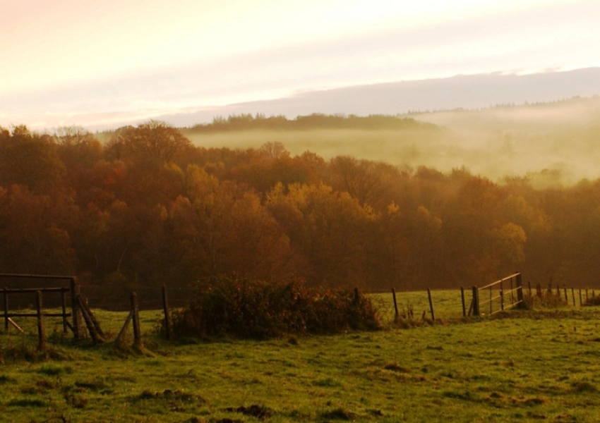Solveg œuvre pour la réhabilitation du bocage normand