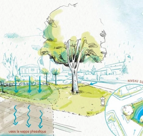 La gestion intégrée des eaux pluviales- GIEP