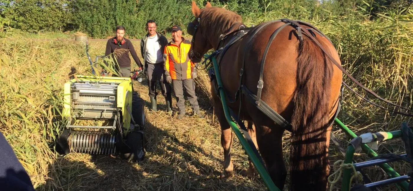 Génie écologique en Normandie