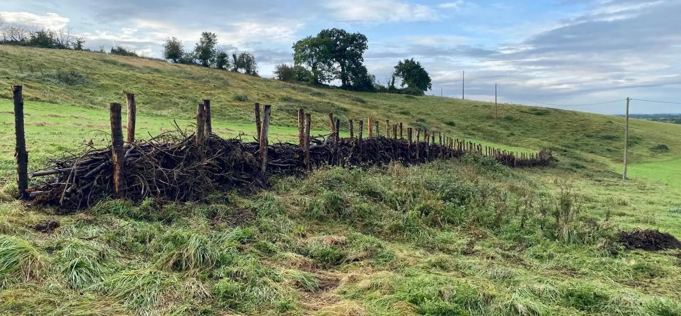 Haie sèche en Normandie
