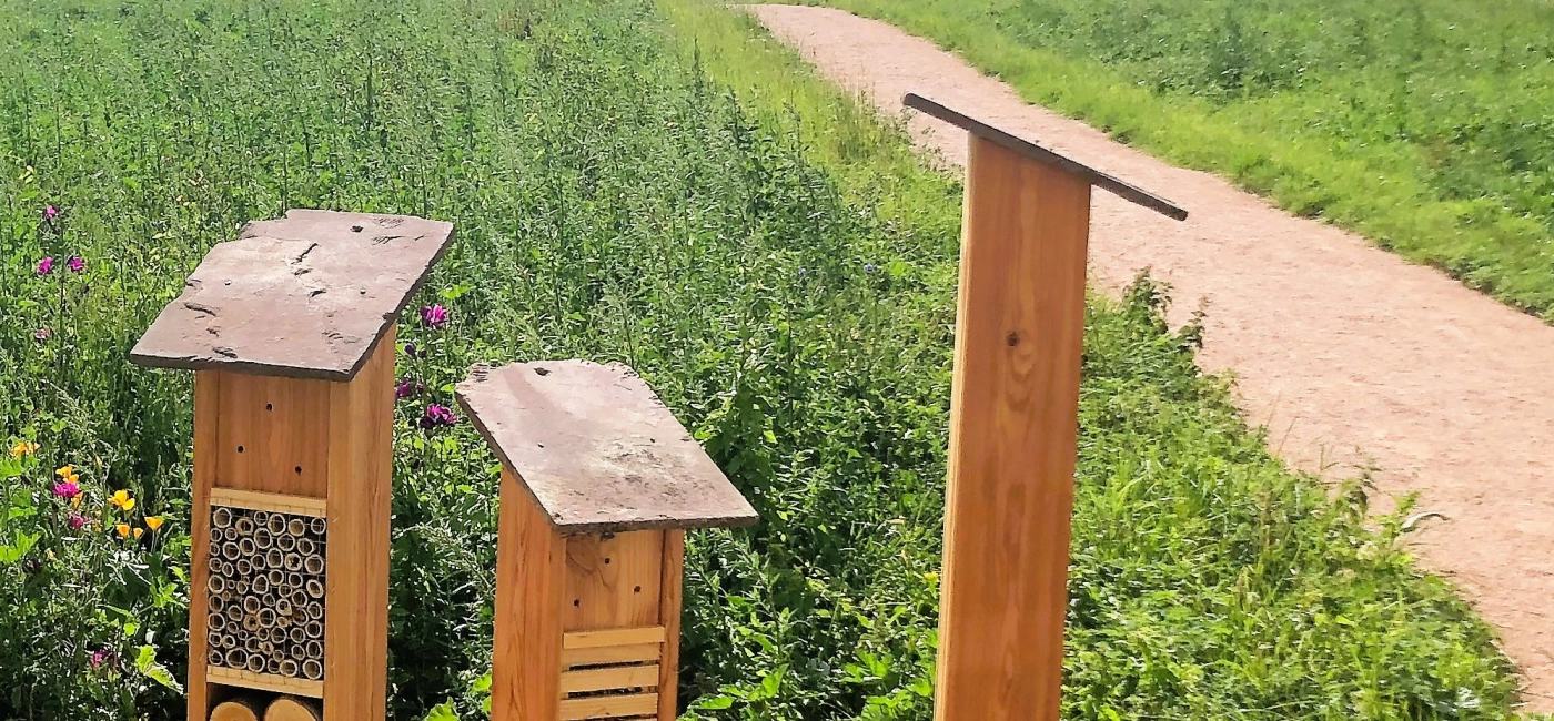 Aménagement paysagers et respect de la biodiversité en Normandie