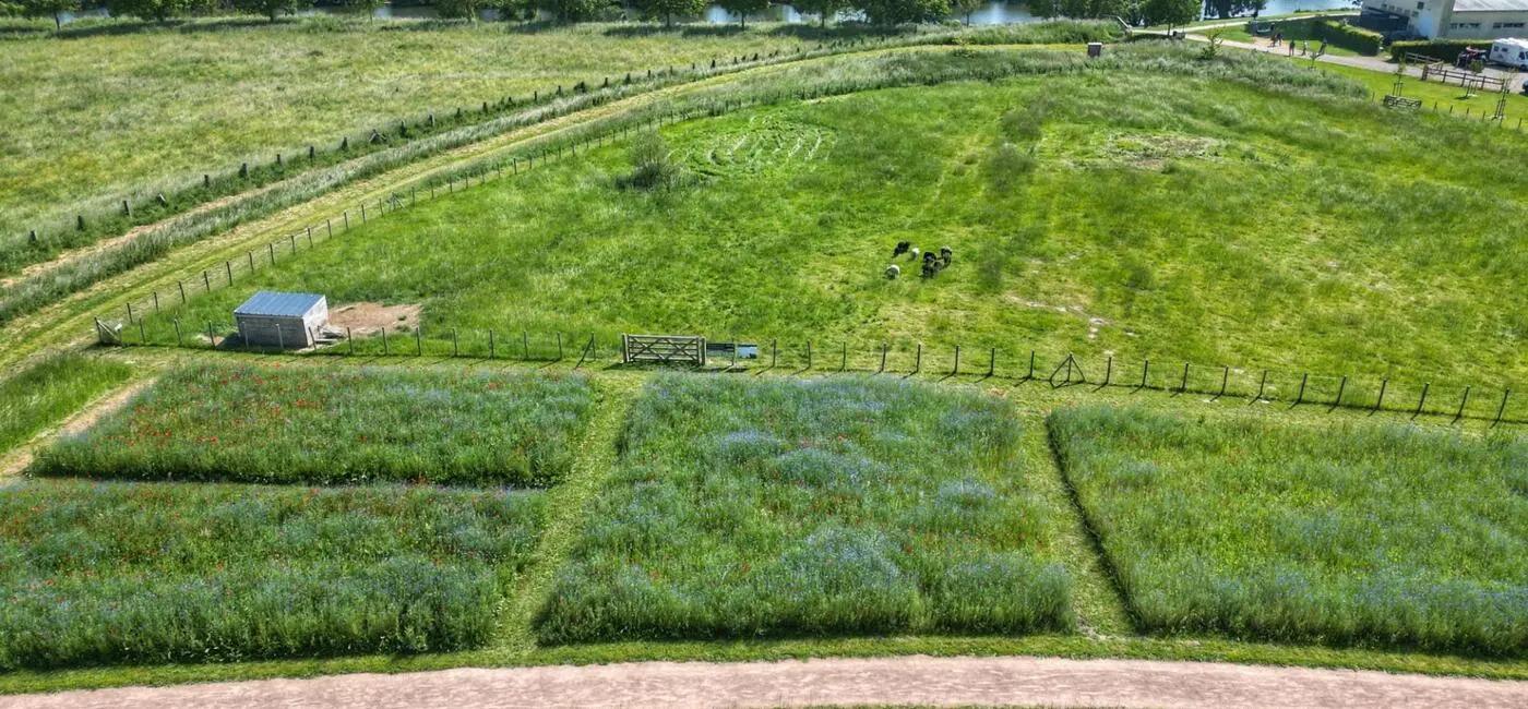Entretien d&#039;espaces verts en Normandie