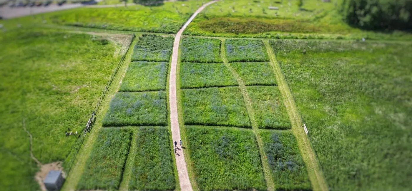 Création d'un eco-pâturage en Normandie